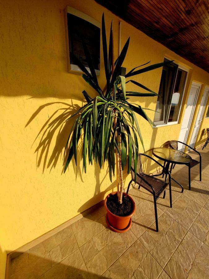 Cabana Varad Coronini Moldova Veche Extérieur photo