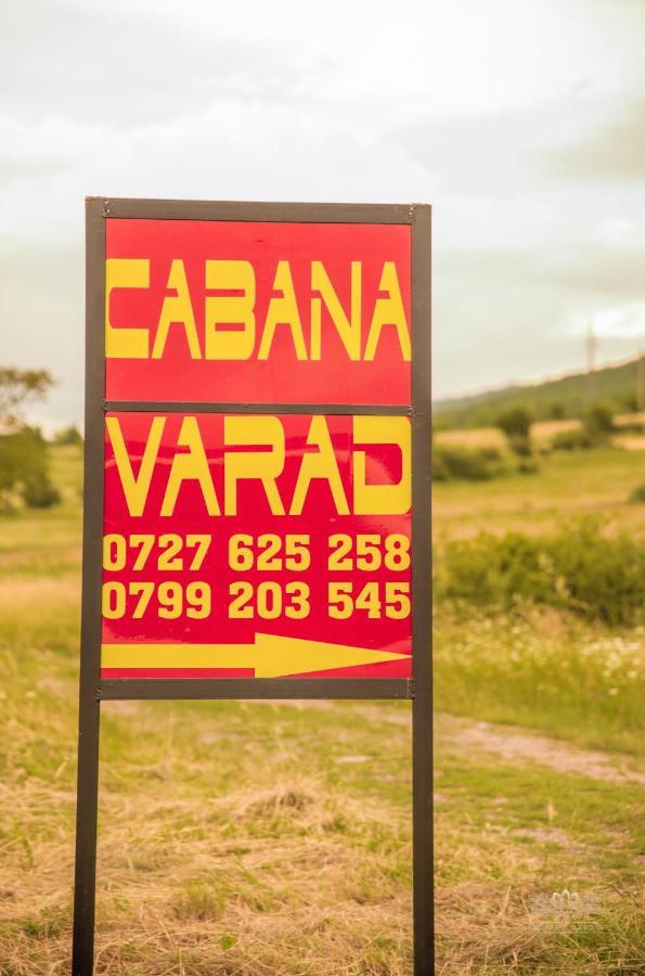 Cabana Varad Coronini Moldova Veche Extérieur photo